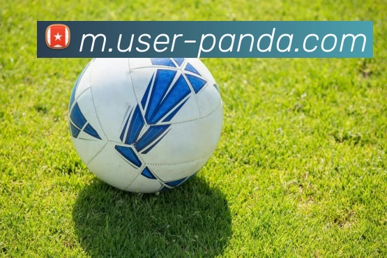 熊猫体育全站App