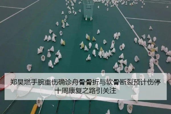 郑昊燃手腕重伤确诊舟骨骨折与软骨断裂预计伤停十周康复之路引关注 | PANDASPORTS